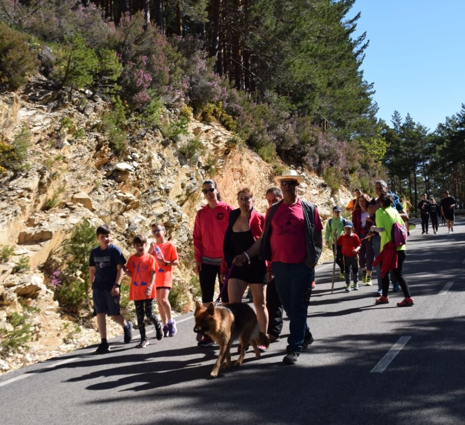 ¡¡GRACIAS por haber hecho posible la 38 Marcha ADECAS!!