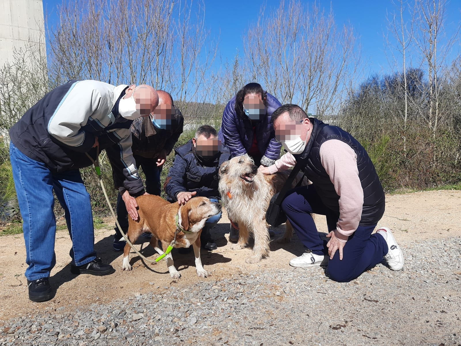 Colaboración «canina»